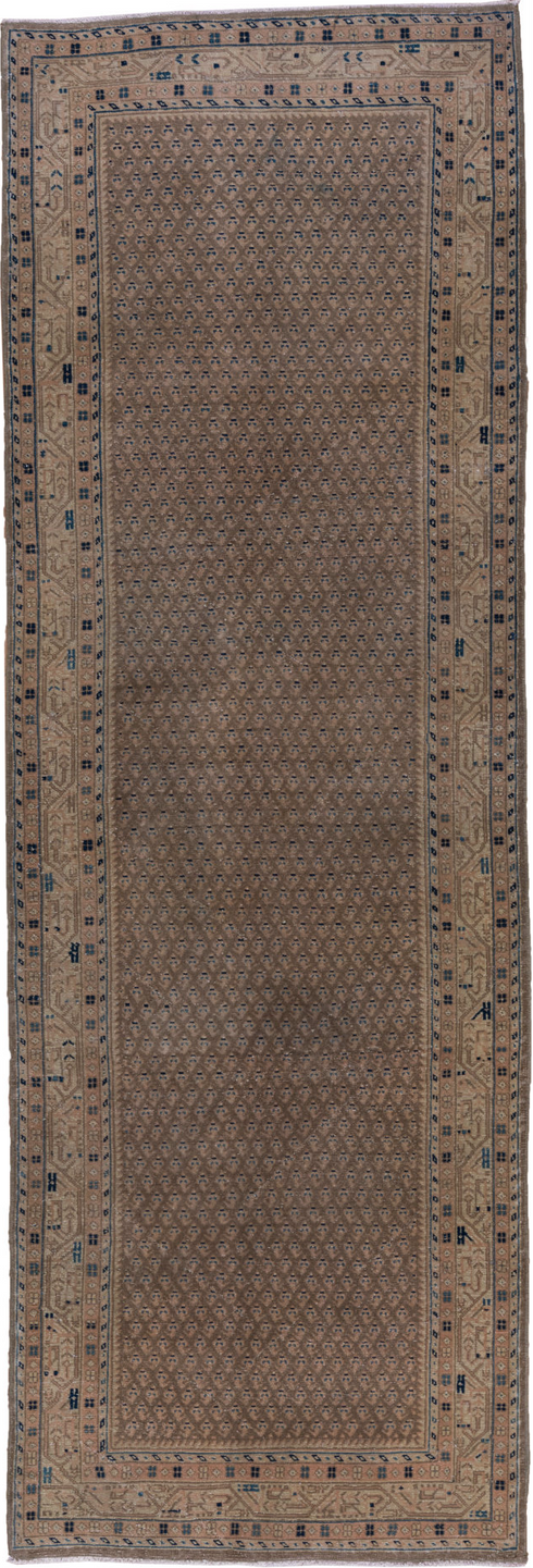 Vintage Mahal Runner Rug (3' x 10')